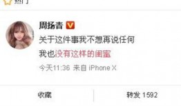 网红爆料最新新闻报道大全,最新新闻报道大盘点